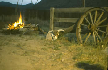 The setting for the opening campfire