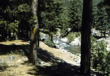 Rayado Creek
