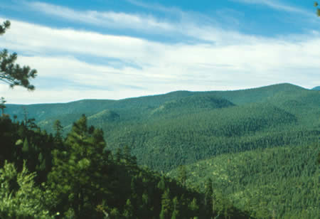 Scenery on the way to Ponil Camp
