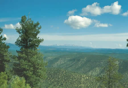 Scenery on the way to Ponil Camp